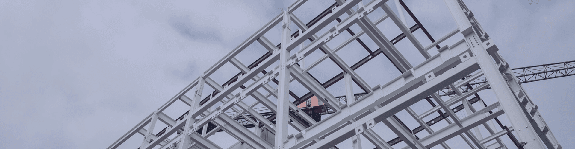 ELTEK Engineering Services — infrastructure